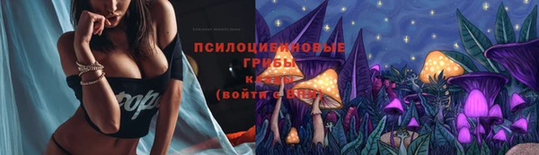 2c-b Куйбышев