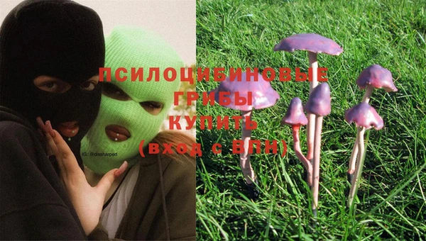 2c-b Куйбышев