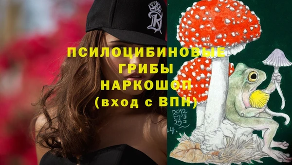 2c-b Куйбышев