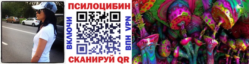 Купить где  Бугуруслан  Псилоцибиновые грибы Cubensis 